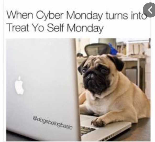 cyber monday animal meme  treat yourself