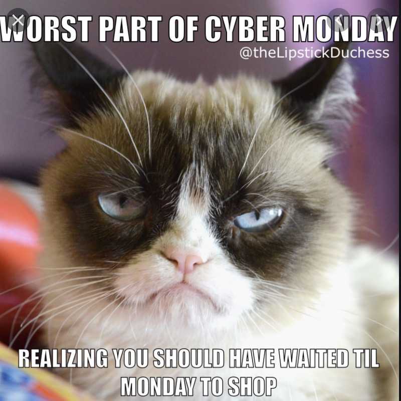 cyber monday animal meme  grumpy cat