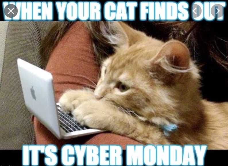 cyber monday pet beds and mattresses