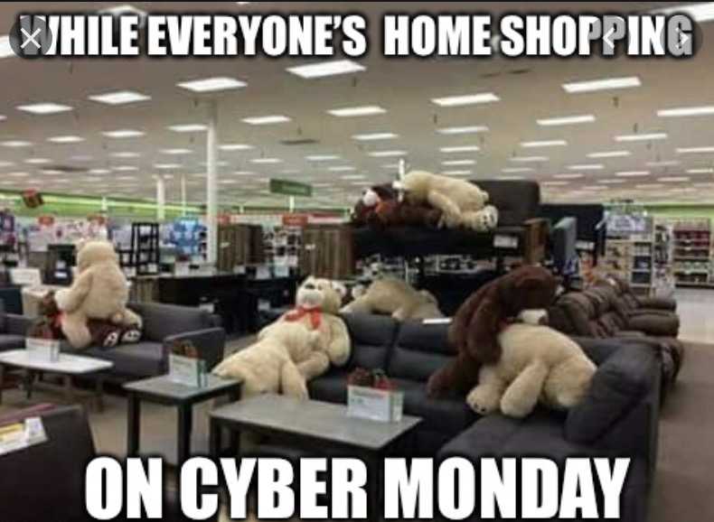 cyber monday animal meme  doing it like they do on the discovery channel