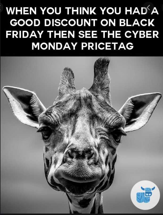 cyber monday animal meme  sad giraffe