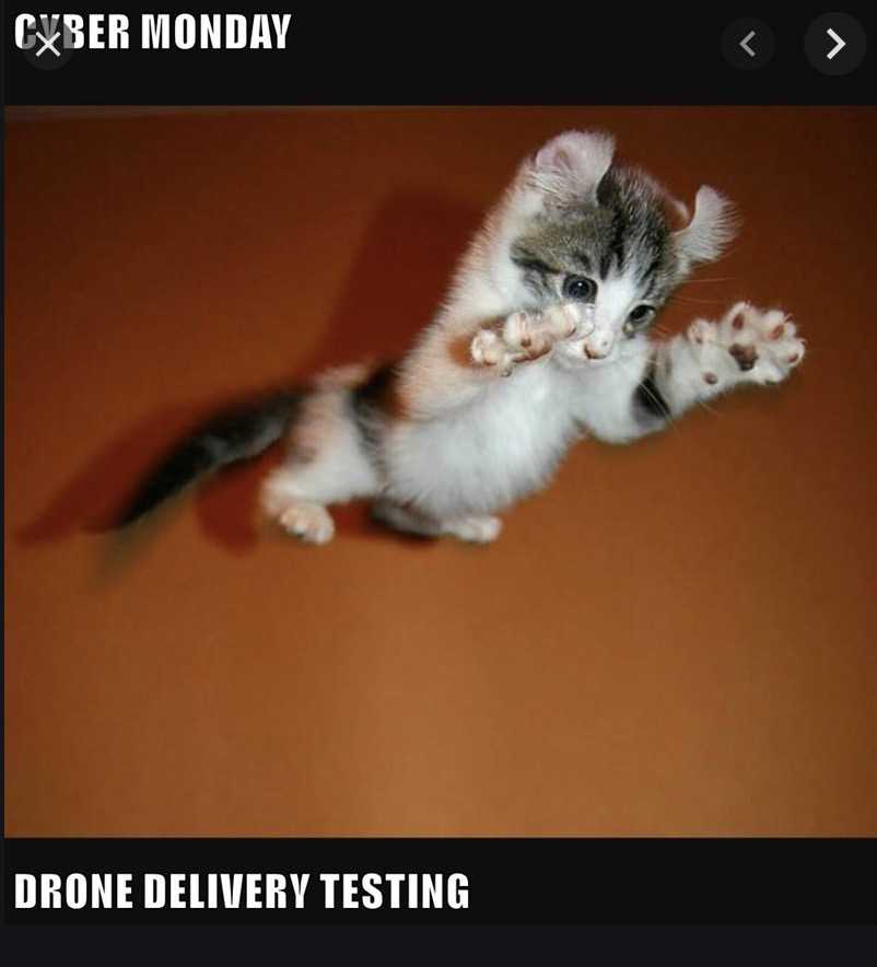 cyber monday animal meme  drone testing