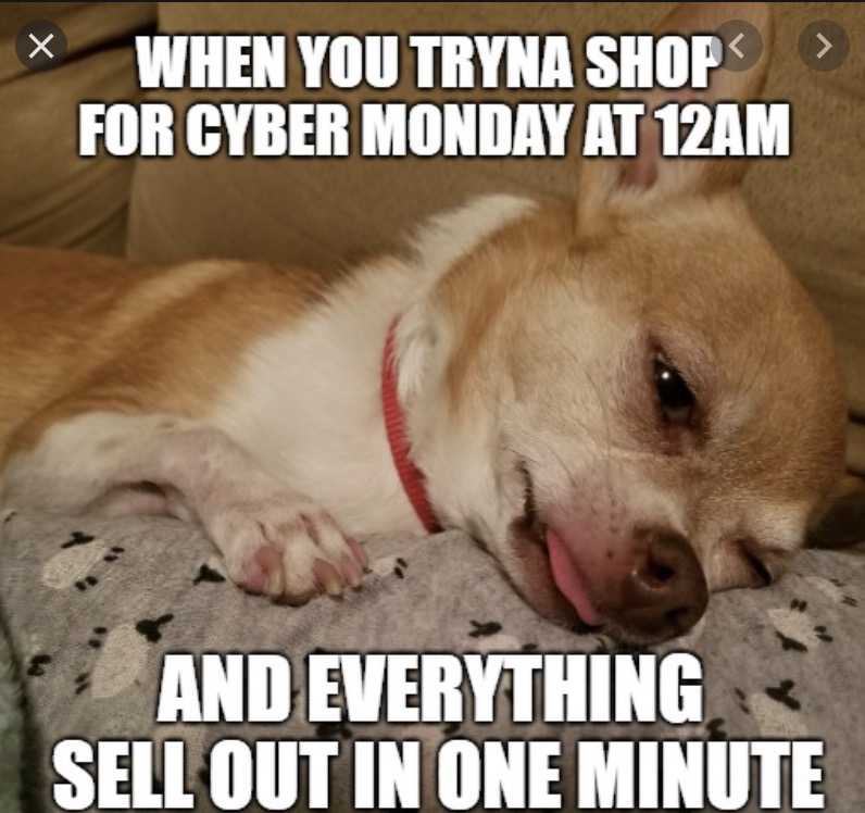 cyber-monday-animal-memes-8 cyber monday animal meme - must shop