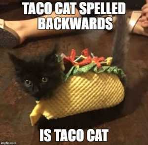 30 Hilarious Taco Memes Because Tacos Aren't Just For Tuesday, They're 