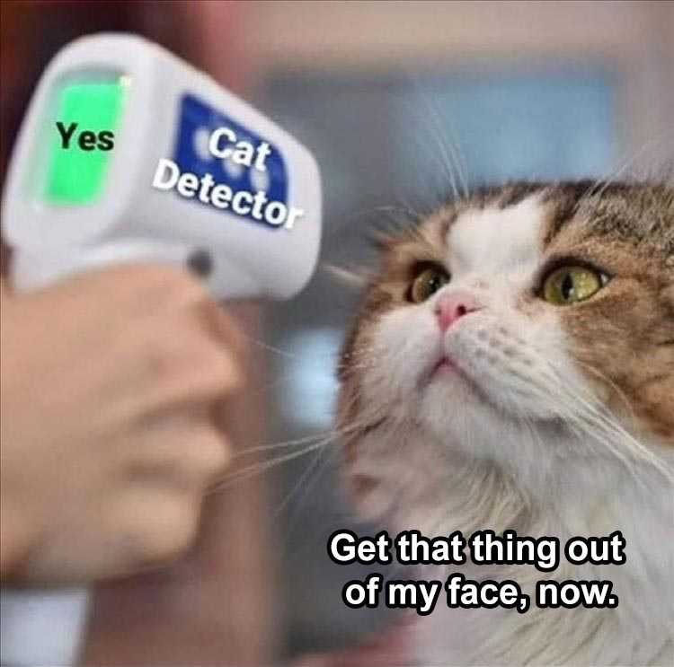 The Funniest Animal Memes Of The Week 38 Pics 5Fba7Cdf8Fb35
