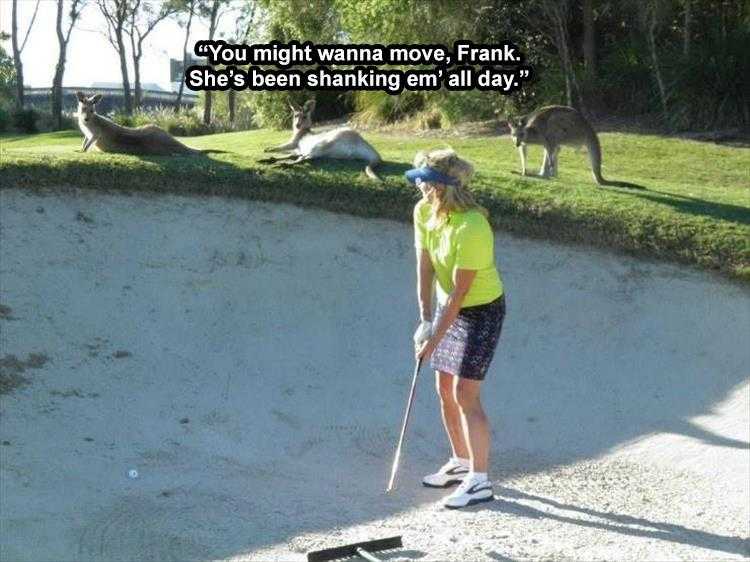 The Funniest Animal Memes Of The Week 38 Pics 5Fba7Ce5C54B8