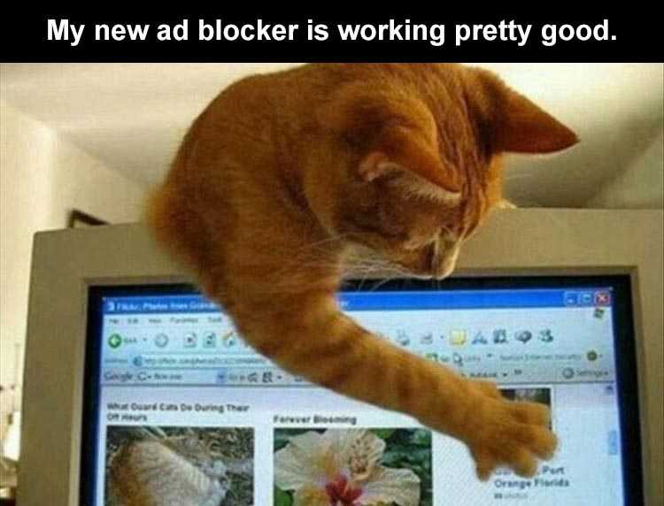 lol cat memes  adblocker