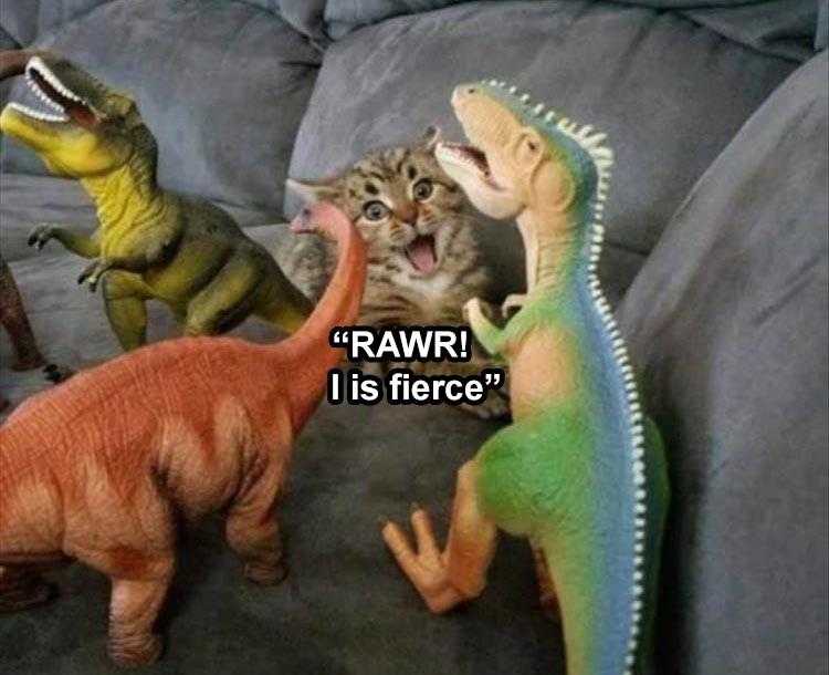 Funny Animal Captions  cat vs dinos
