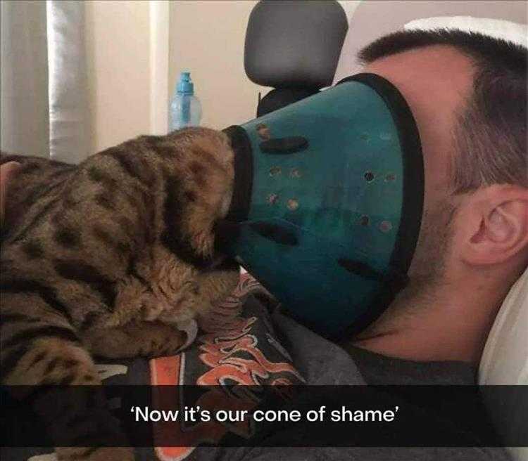funny Pet Meme  sharing is caring