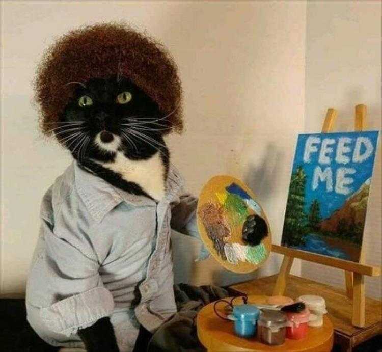 Top 36 Funny Animal Memes Of The Day 5Fc265D852672