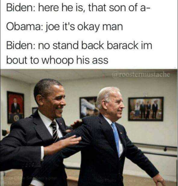 biden memes  throwing punches