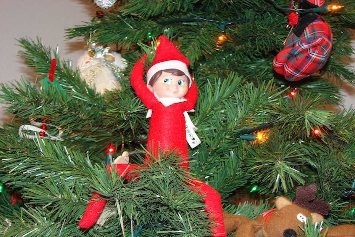 2020-Elf-In-The-Tree 2020 Elf On The Shelf Ideas - On Tree Branch Nothing To Do