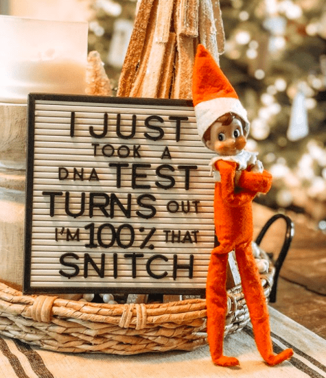 2020-Elf-On-The-Shelf-Snitch 2020 Elf On The Shelf Ideas - Dna Test