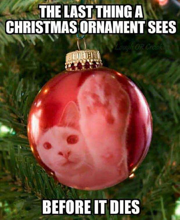 Funny Christmas Memes  cat attack