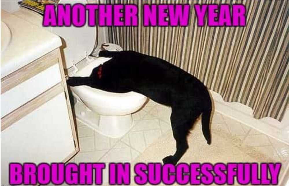 New-Year-Memes-6