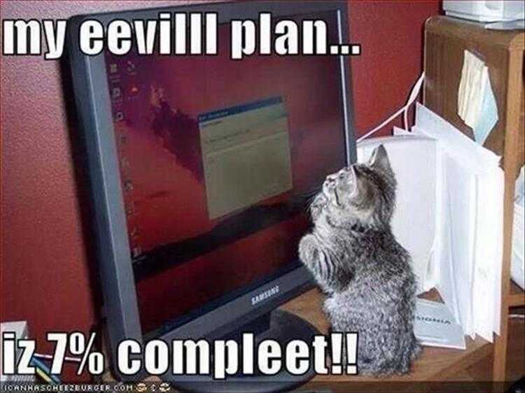 Funny Cat Meme Pictures - Evil Plan