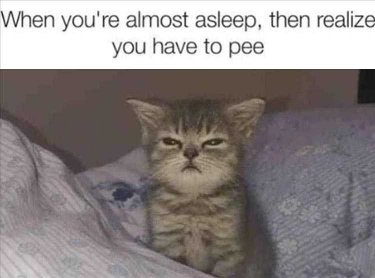 Funny Pictures With Captions - Have To Pee