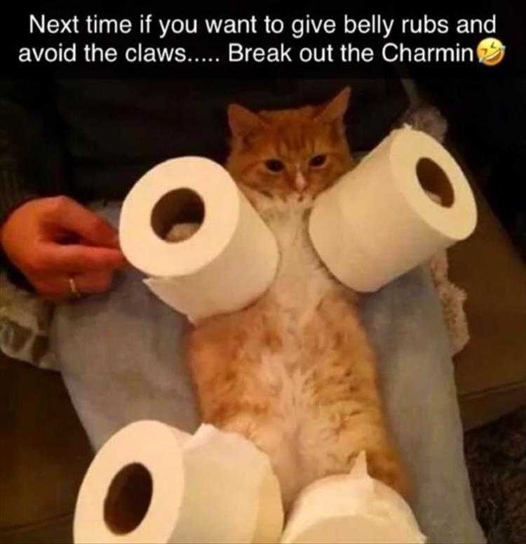 Funny Pictures With Captions - Safe Massages