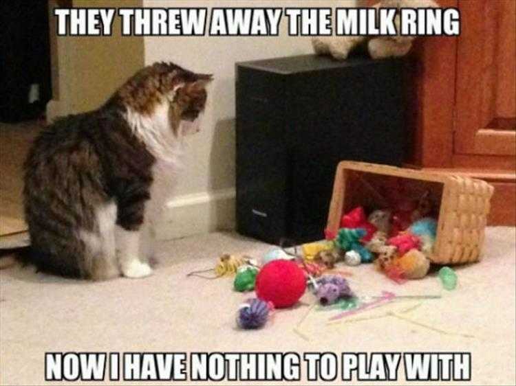 Funny Picture With Captions - Yarn