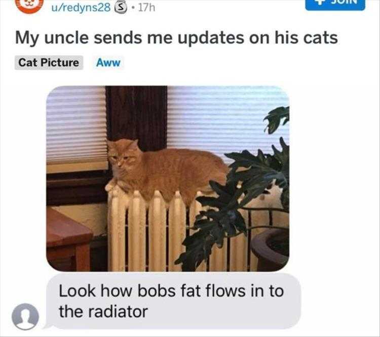 Funny Pictures With Funny Caption - Fat Melting