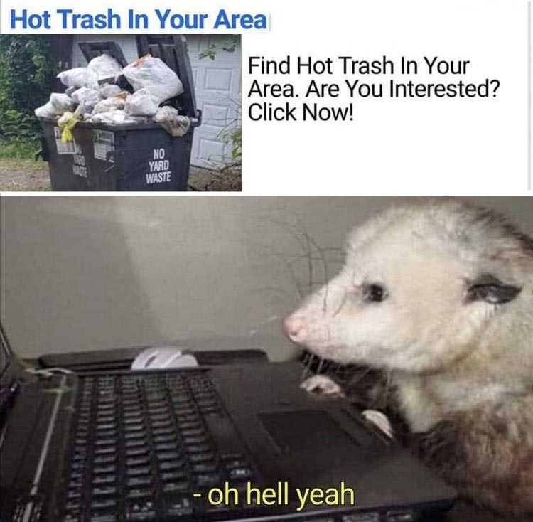 Very Funny Animal Memes  Click Now