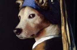 Dog Without The Pearl Earring