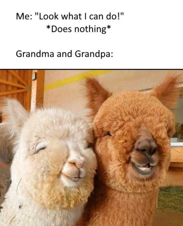 wholesome memes  grandparents