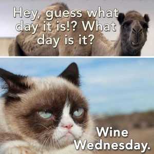 Guess What Wednesday Meme