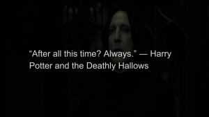 Hp16