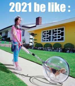 Meme16 Funny 2021 Predictions - Walking Dog