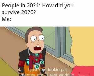 Meme7New