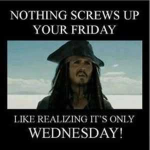Sparrow Hump Day Meme