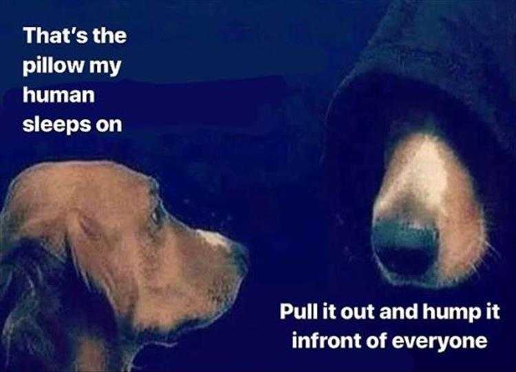 Lol Dogs  Dark Side
