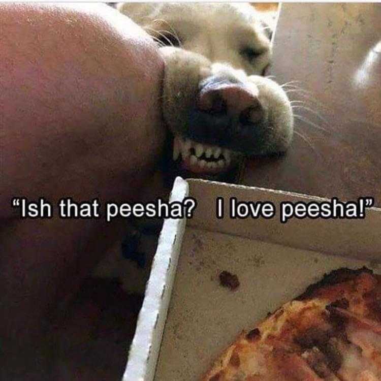Lol Dogs  Peesha
