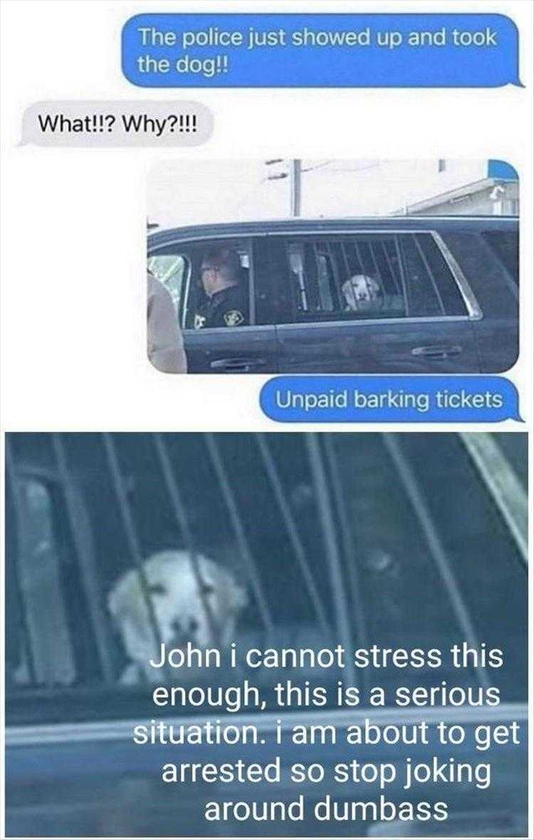 Funny Animal Photos With Captions - Unpaid Barking