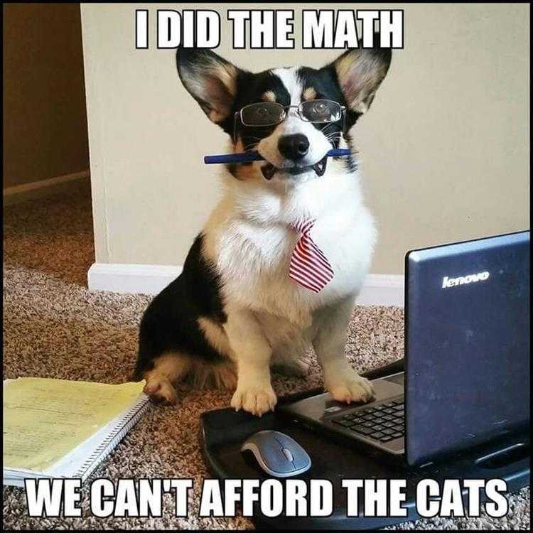 Funny Animal Photos With Captions - Trust Me