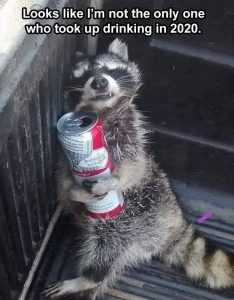 top 21 lol animal meme pics
