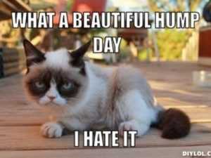 Whatabeautifulgrumpyhumpday 5Af4924E1D64040036C9008E