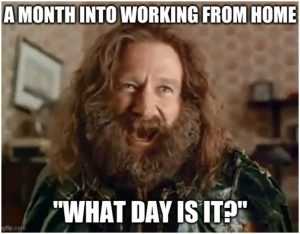 Work from home memes