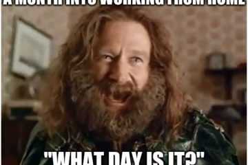 Work From Home Memes