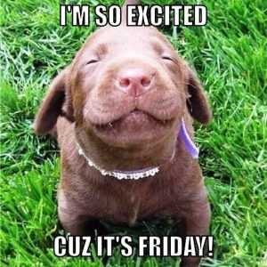 5-I’m-So-Excited-Friday-Meme