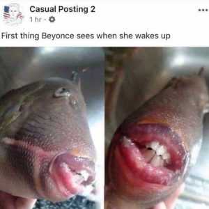 5Um0Tvxo48U21 Relatable Queen Bey Memes - Wake Up Pic