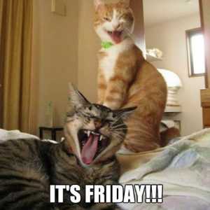 Its-Friday-Cats-Meme-1