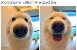 Good Boys