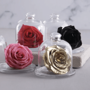 Valentines Day Gift 
