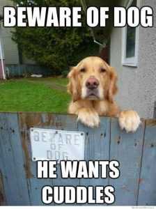 A00E6Cad2F651A5F43A3762955D0Ceda Dog Posters - Cuddles