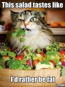 Hilarious Diet Memes  taste of salad