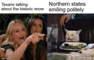 snow meme 2021 historic snow