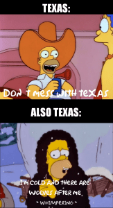 30 Funny Texas Freeze Memes To LMAO At If It Hasn't Frozen Off First