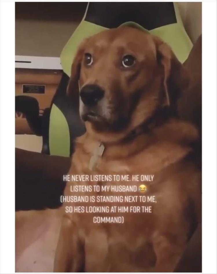 Animals Being Funny Pics  Daddy's Boy